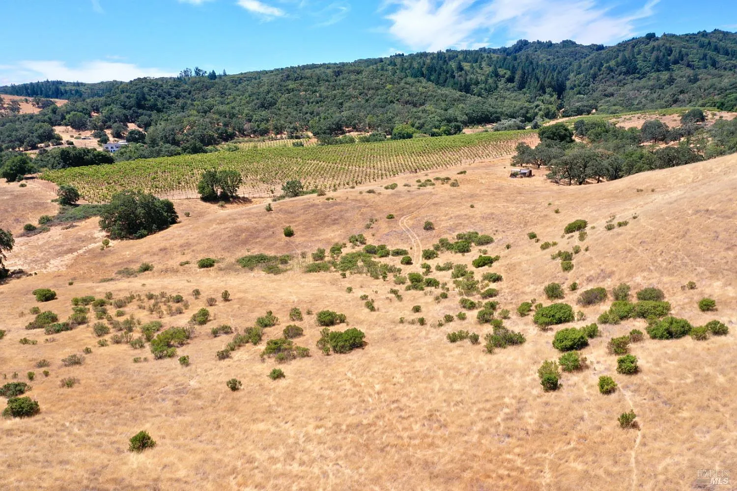 0 Dutcher Creek Road - Photo 11