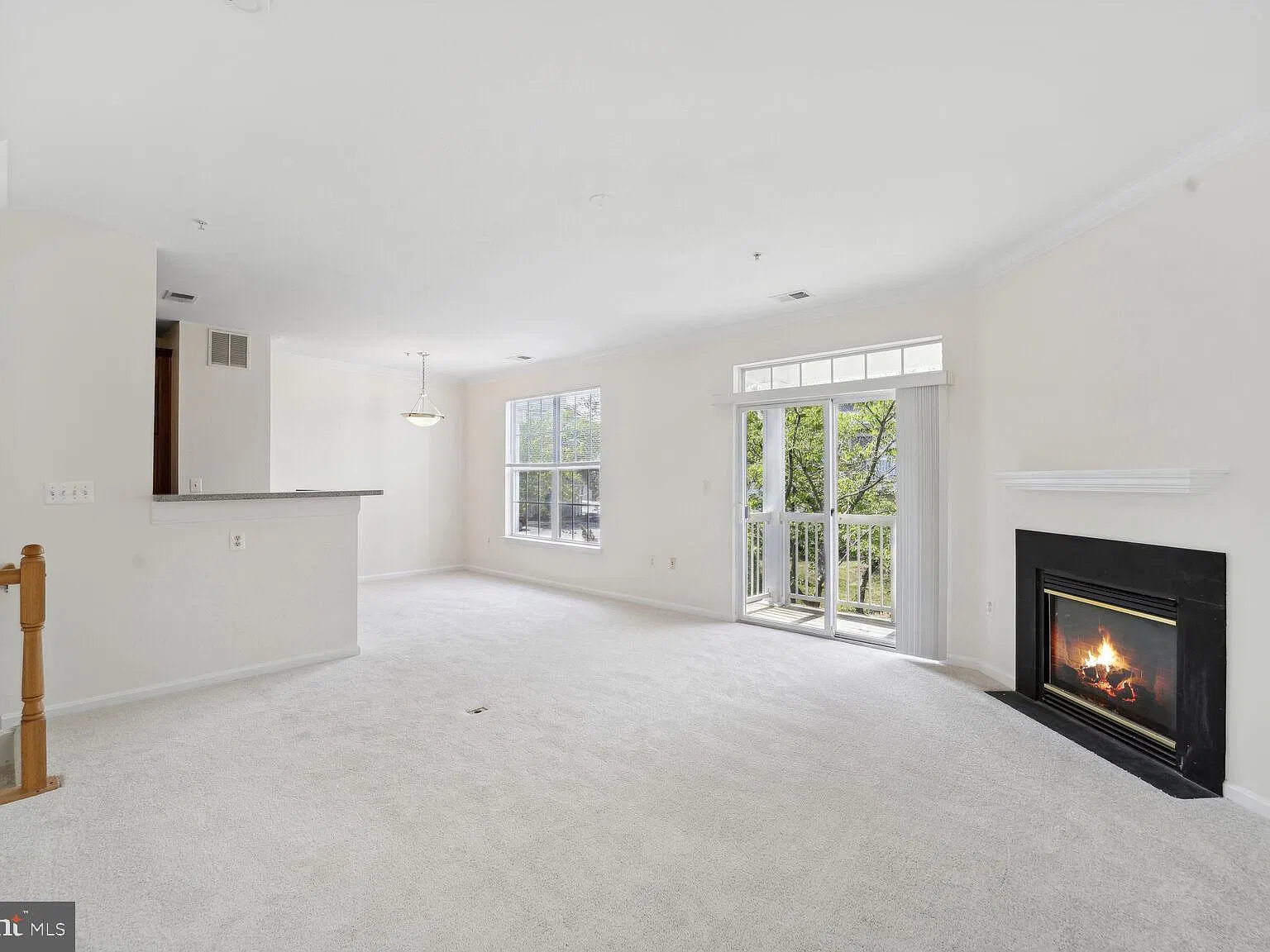 Fox Mill Station Condo — Photo 3