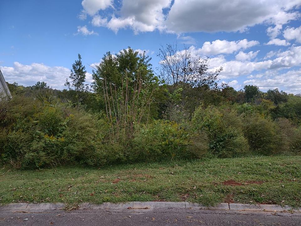 2nd image of 61 James Rd