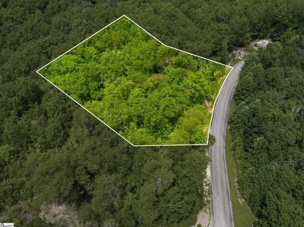 25 White Fox Trl, Marietta, SC 29661