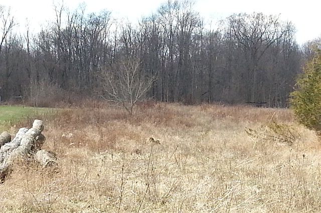 1st image of 0 County Road 40