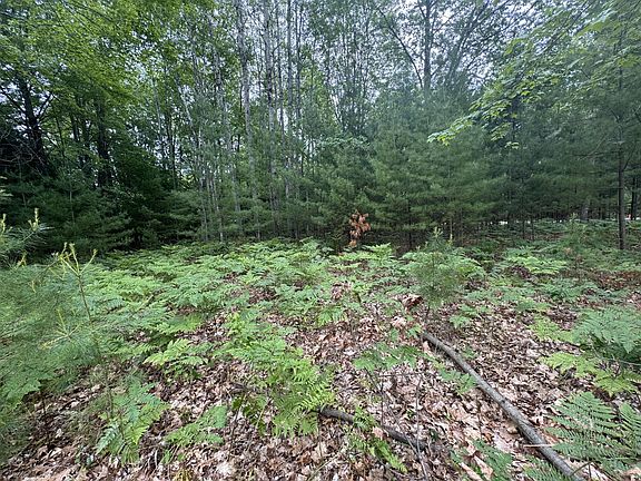 5th image of 6336 Cedar Trce