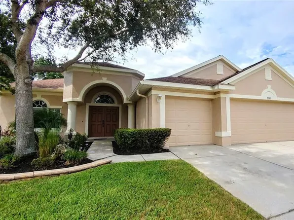23315 Dinhurst Ct, Land O Lakes, FL 34639