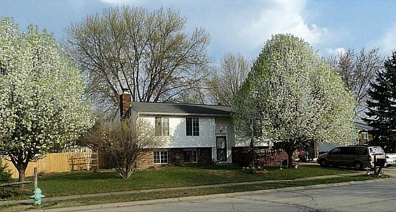 1st image of 6632 Cordova Ct