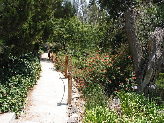 one of many garden paths