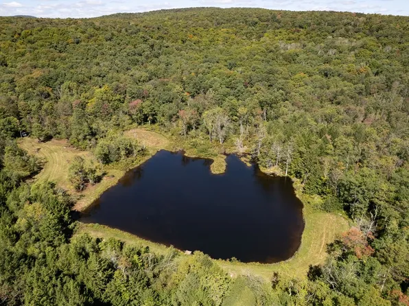 Terwilliger Rd Lot 2, Livingston Manor, NY 12758