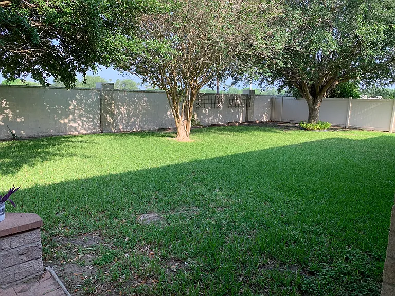 109 Wild Olive — Photo 22