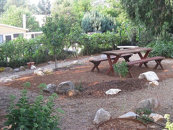 Large corner lot/yard