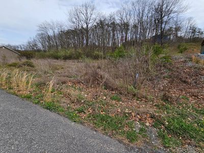 41/42 Ashby Crest Ln, Fort Ashby, WV, 26719