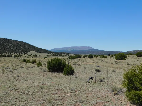 S Coyote Trl, Quemado, NM 87829