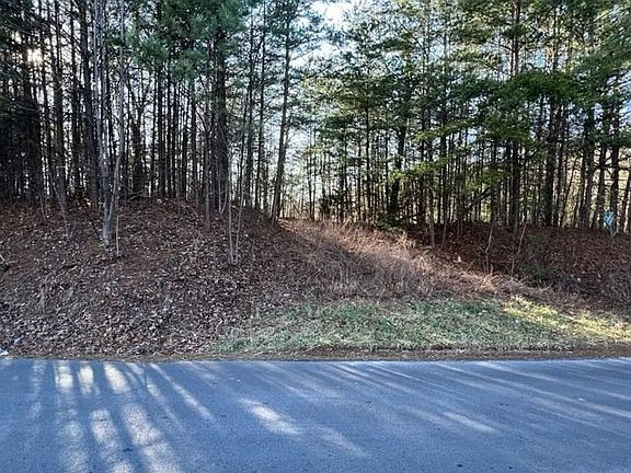 2nd image of 0 Chamberlain Ln Lot 54E