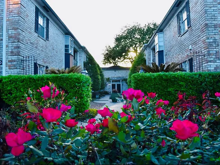 7900 Westheimer Rd #220 — Photo 4