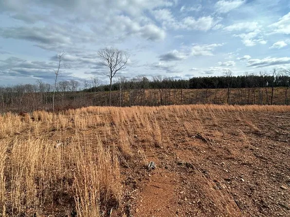 604 Meadow Creek Rd #0, Wingina, VA 24599