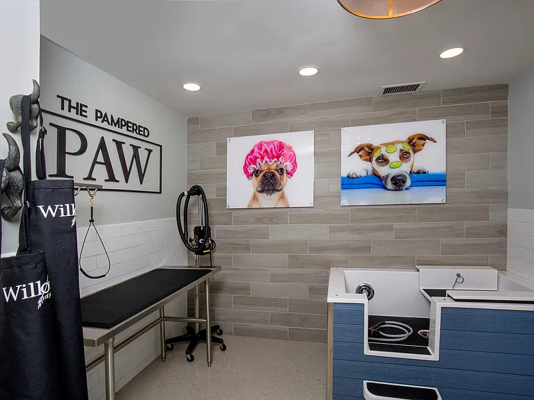 The Pampered Paw pet spa