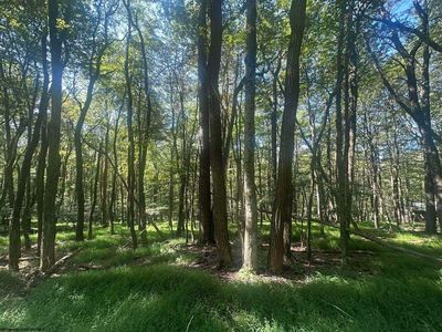 70 Clover Dr, Terra Alta, WV, 26764