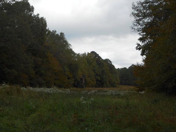 5th image of Joe Lee Rd