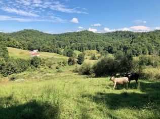 1542 Windyville Rd, Spencer, WV 25276