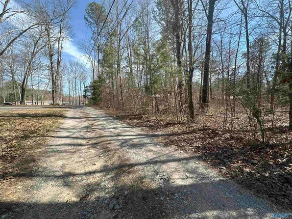 Vacant Parcel County Rd #1856, Arab, AL 35016