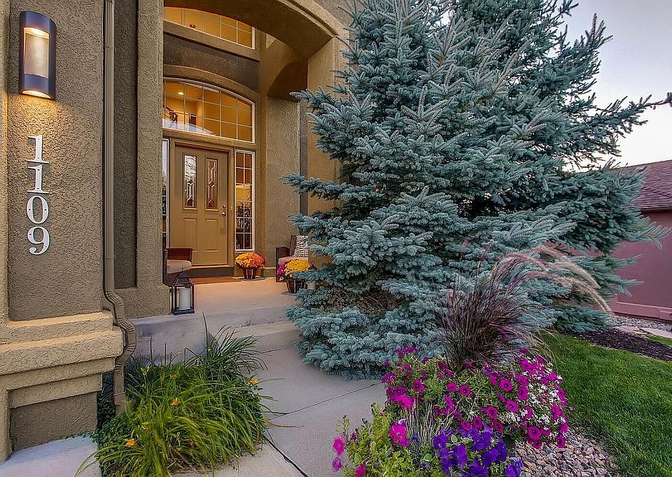 Professional Landscaping