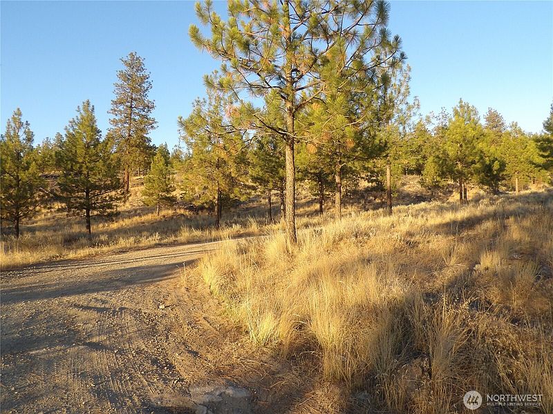 2nd image of 0 TBD Bear Camp Road
