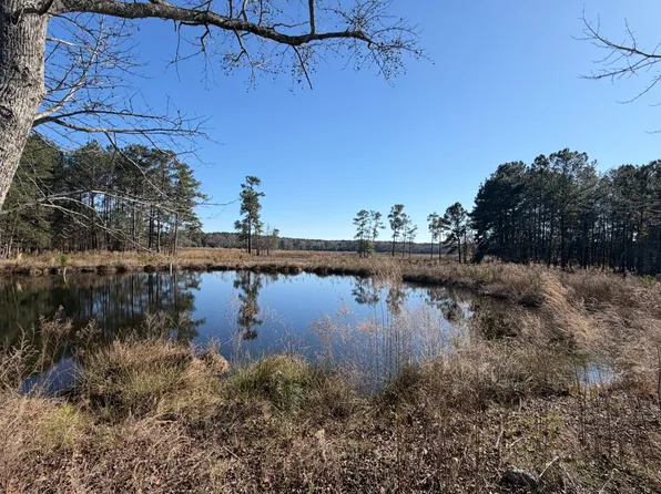 26 County Road 223, New Brockton, AL 36351