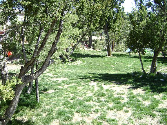 4th image of 1995 Bradley Ln