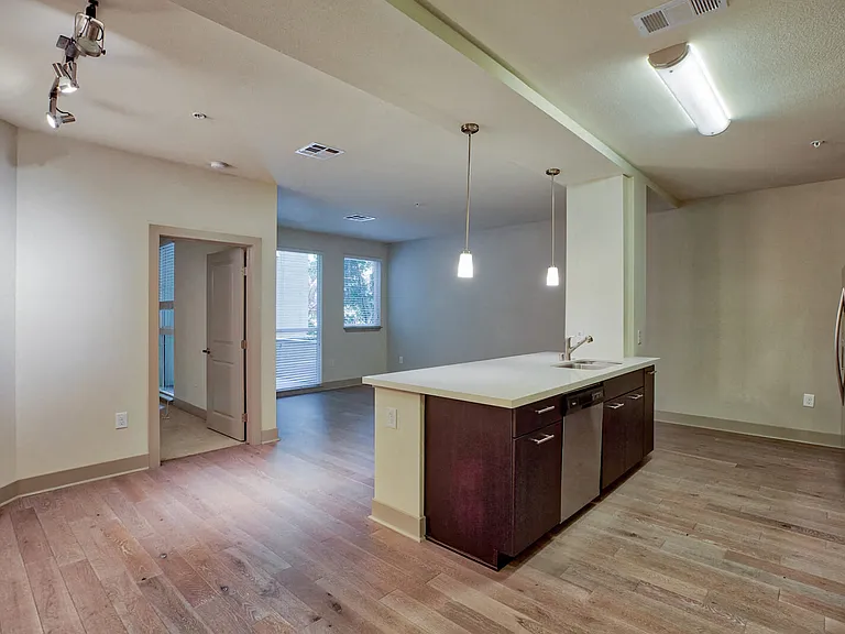 Wood style flooring throughout the living room