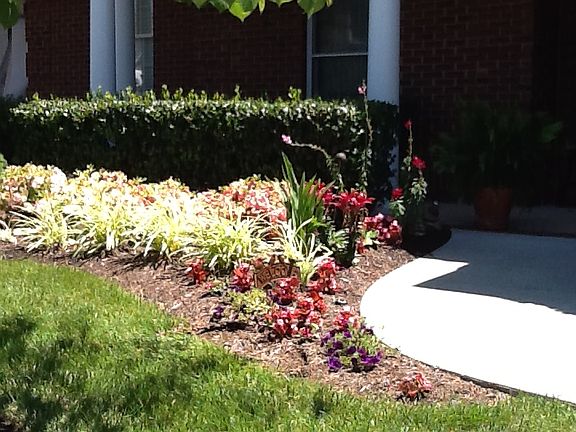 Landscaping at front entranc