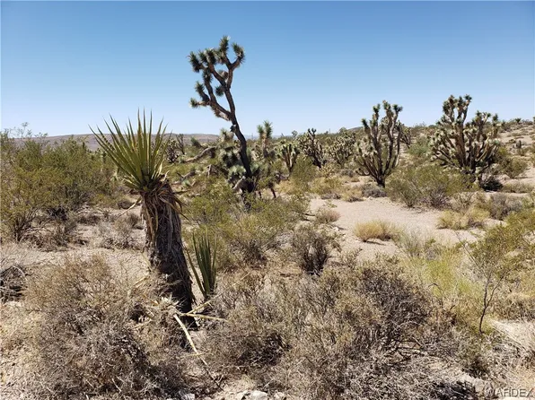 20811 N Silver Eagle Dr, White Hills, AZ 86445