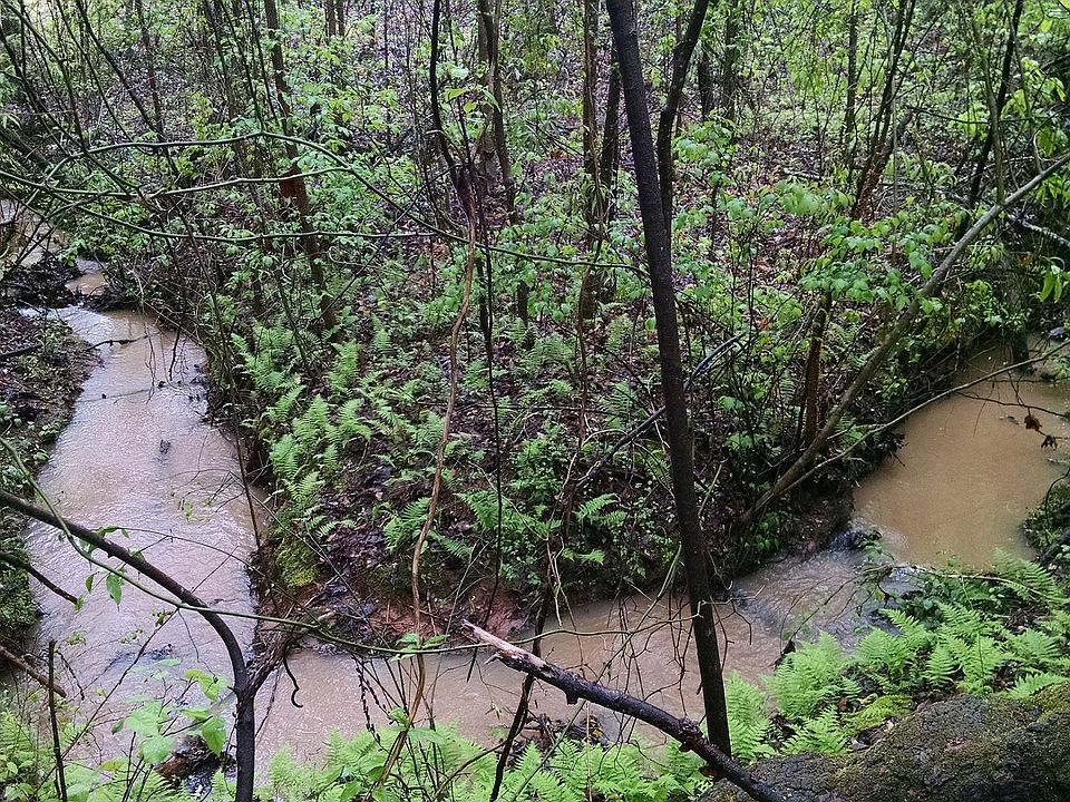 1st image of 120 Amandas Autumn Ln