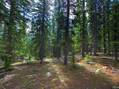 1190 Squaw Mtn Trail, Idaho Springs, CO, 80452