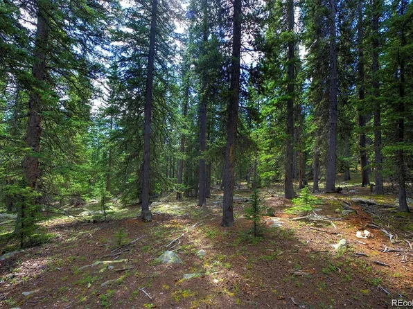 1190 Squaw Mtn Trail, Idaho Springs, CO 80452