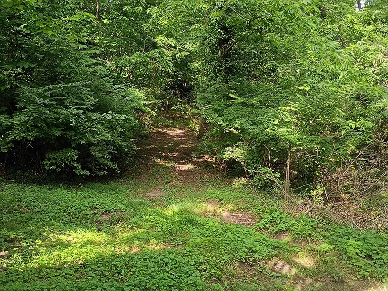 path to lake access and boat / swim dock