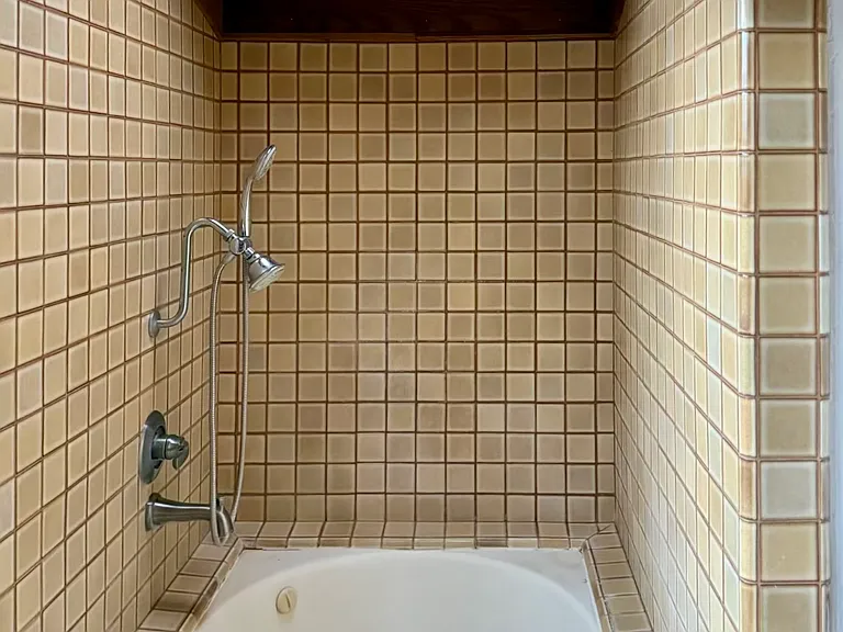 Deep soaking tub/shower with skylight