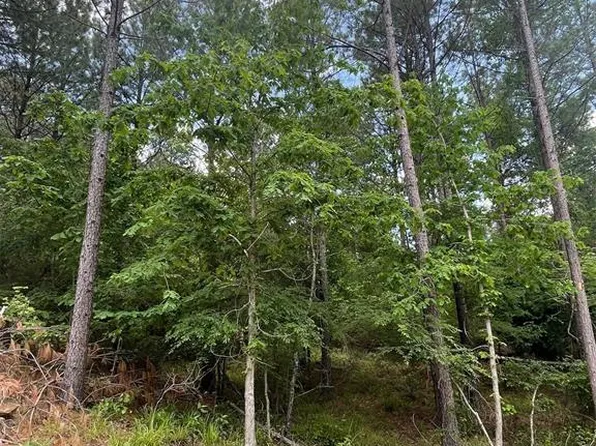 734 Timber Creek Trl, Broken Bow, OK 74728