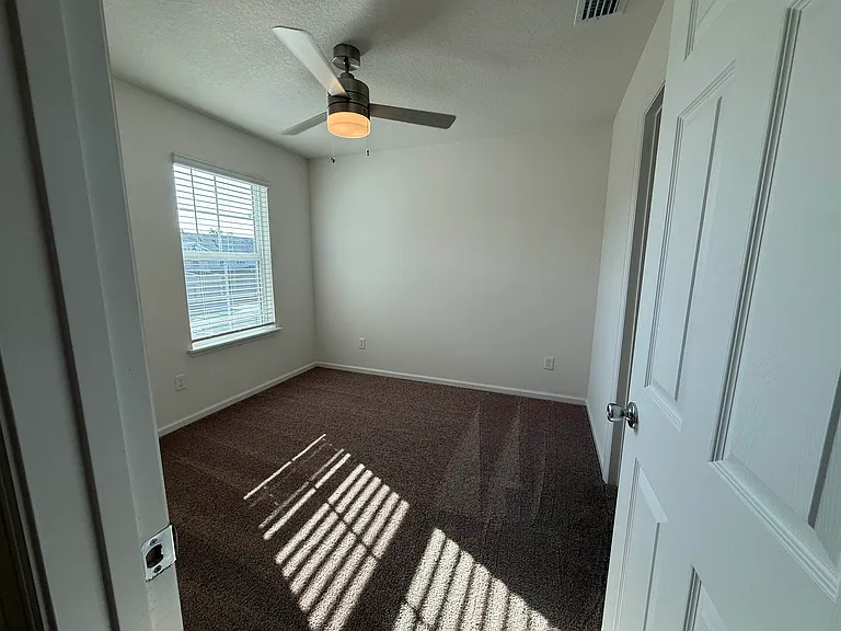 159 Palm Row — Photo 13