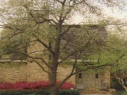 Front of home from  Park Cities YMCA