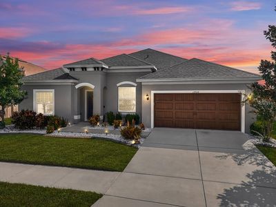 13904 Artesa Bell Dr, Riverview, FL, 33579