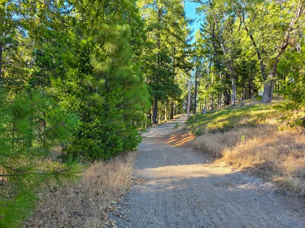5520 Lynx Trl, Pollock Pines, CA 95726