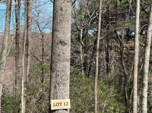 0 Eagle Ridge Rd, Zirconia, NC 28790