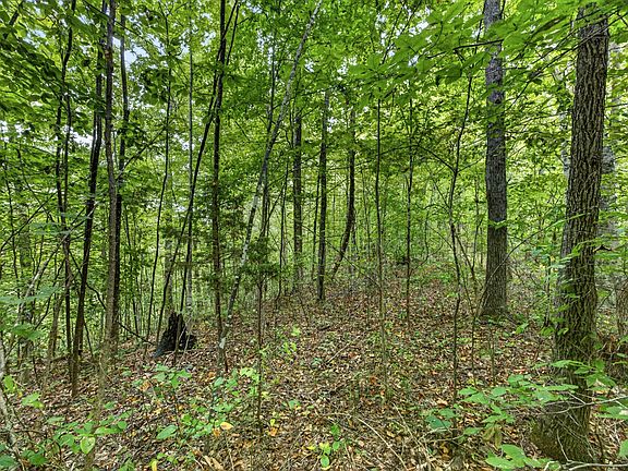 4th image of 0 Timber Ridge Ln Lot 31
