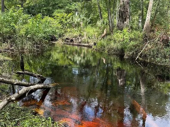 NE East Highway Hwy #318, Fort Mc Coy, FL 32134