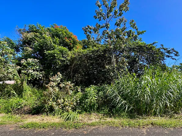 Oopu St Lot 3, Pahoa, HI 96778