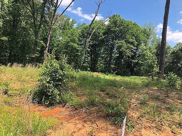 2nd image of Whistling Oaks Dr Lot 6