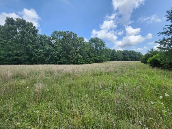 Tbd Blackberry Drive, Summersville, MO 65571