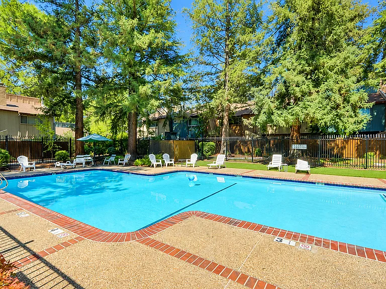419 Alvarado Ave — Photo 21