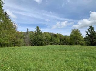 144 Hedgehog Hill Rd S, Mount Holly, VT 05730