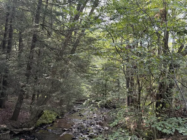 11 Copperhead Rd, Terra Alta, WV 26764