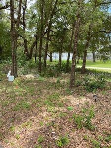 To Be Determined Sw Lane Ln #111, Dunnellon, FL, 34432