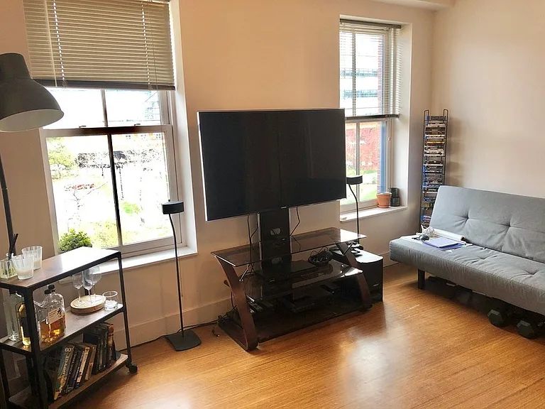 60 E Springfield St #3 — Photo 4